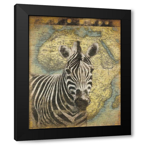 Zebra Africa Black Modern Wood Framed Art Print with Double Matting by Grey, Jace