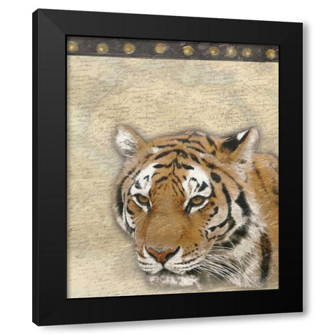 Tiger Africa 2 Black Modern Wood Framed Art Print by Grey, Jace