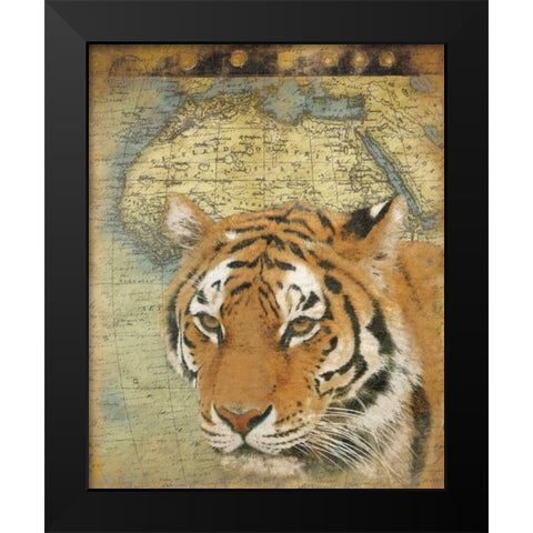 Tiger Africa Black Modern Wood Framed Art Print by Grey, Jace