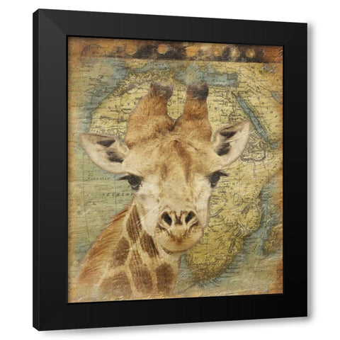 Giraffe 2 Black Modern Wood Framed Art Print with Double Matting by Grey, Jace
