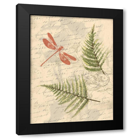Ferns Black Modern Wood Framed Art Print with Double Matting by Grey, Jace