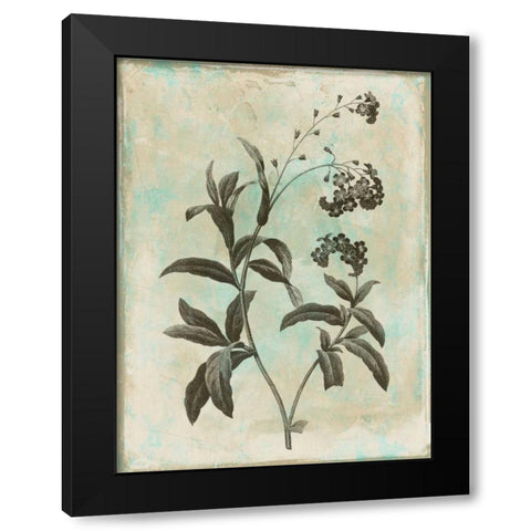 Earthy floral 1 Black Modern Wood Framed Art Print by Grey, Jace