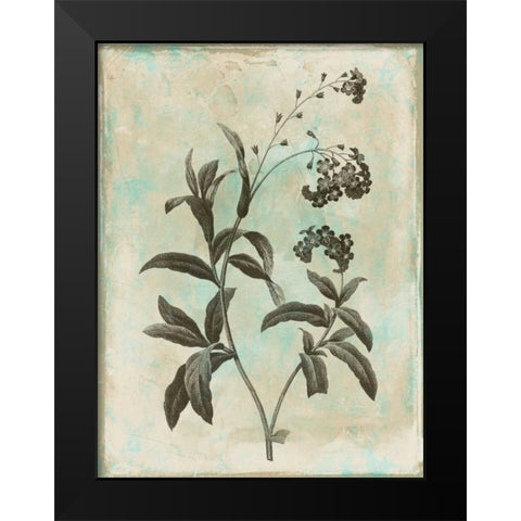 Earthy floral 1 Black Modern Wood Framed Art Print by Grey, Jace
