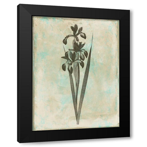 Earthy Floral Blend Black Modern Wood Framed Art Print with Double Matting by Grey, Jace