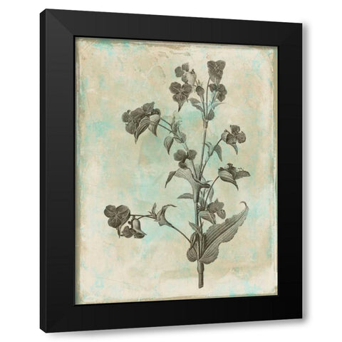 Earthy floral Mix Black Modern Wood Framed Art Print with Double Matting by Grey, Jace