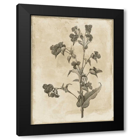 Earthy floral 4 Black Modern Wood Framed Art Print with Double Matting by Grey, Jace