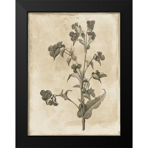 Earthy floral 4 Black Modern Wood Framed Art Print by Grey, Jace