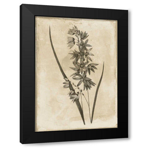 Floral Earthtone Black Modern Wood Framed Art Print by Grey, Jace
