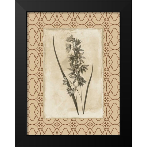 Floral bordered Black Modern Wood Framed Art Print by Grey, Jace
