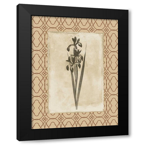 Floral bordered 2 Black Modern Wood Framed Art Print with Double Matting by Grey, Jace