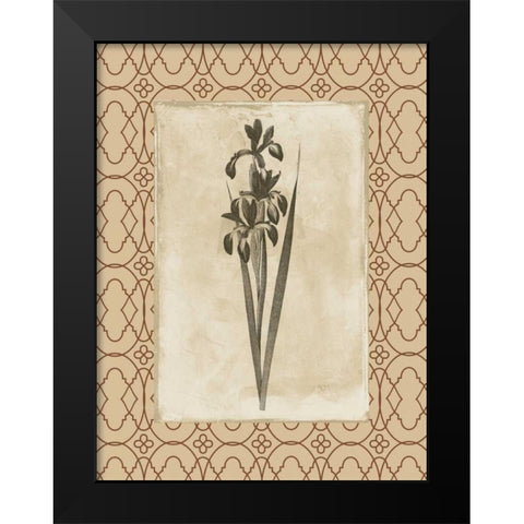 Floral bordered 2 Black Modern Wood Framed Art Print by Grey, Jace