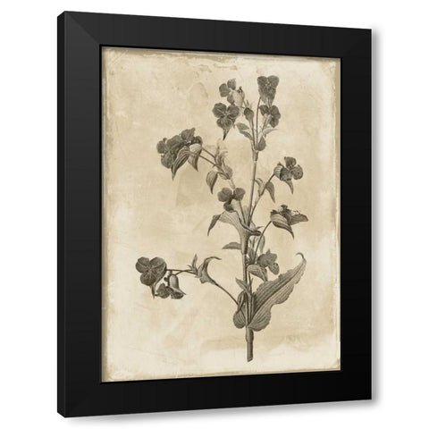 Floral Earthtone Three Black Modern Wood Framed Art Print with Double Matting by Grey, Jace