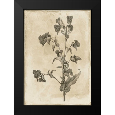 Floral Earthtone Three Black Modern Wood Framed Art Print by Grey, Jace