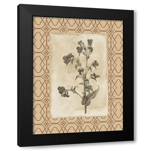 Floral bordered 3 Black Modern Wood Framed Art Print with Double Matting by Grey, Jace
