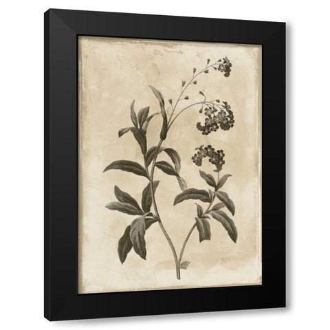 Floral Earthtone Four Black Modern Wood Framed Art Print by Grey, Jace