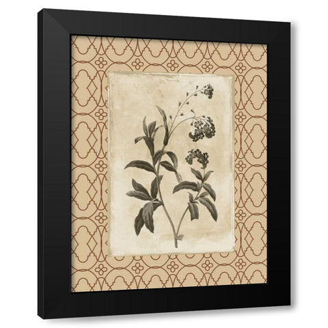 Floral bordered 4 Black Modern Wood Framed Art Print with Double Matting by Grey, Jace