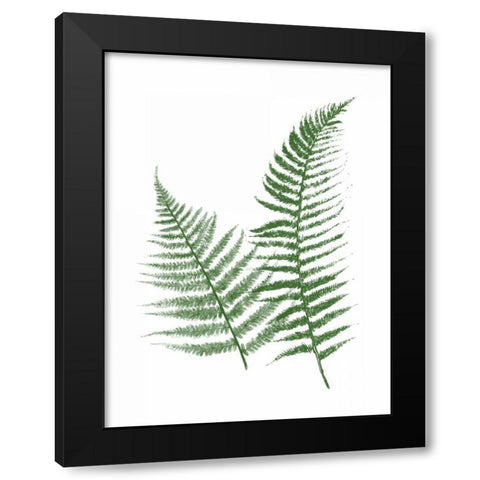 Green Ferns Black Modern Wood Framed Art Print by Grey, Jace