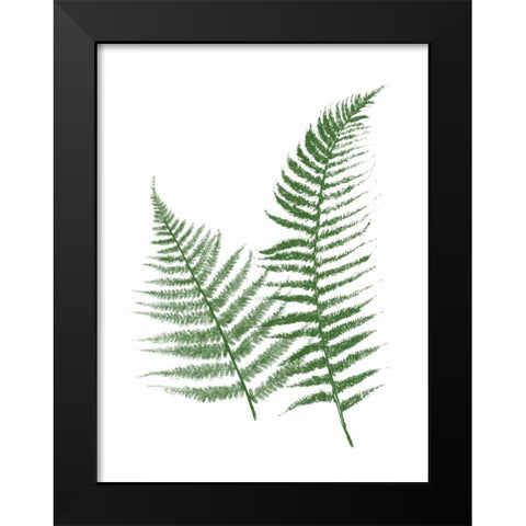 Green Ferns Black Modern Wood Framed Art Print by Grey, Jace