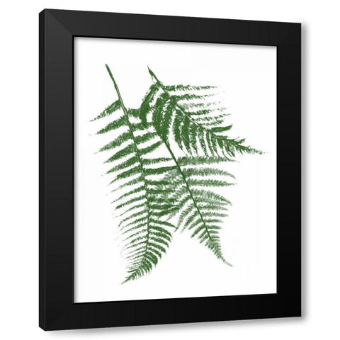 Green Ferns Mate Black Modern Wood Framed Art Print by Grey, Jace