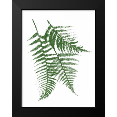 Green Ferns Mate Black Modern Wood Framed Art Print by Grey, Jace