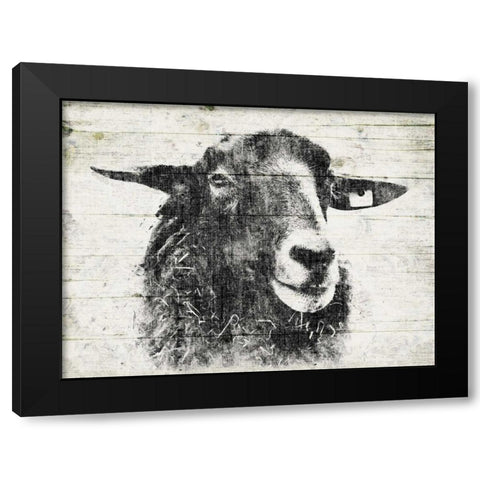 Vintage Sheep Black Modern Wood Framed Art Print by Grey, Jace