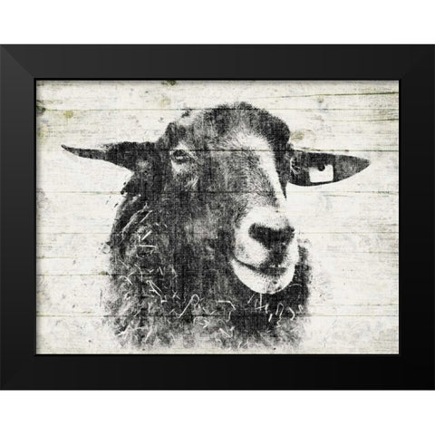 Vintage Sheep Black Modern Wood Framed Art Print by Grey, Jace