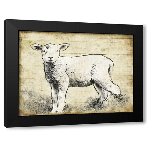 Vintage Lamb Sketch Black Modern Wood Framed Art Print with Double Matting by Grey, Jace
