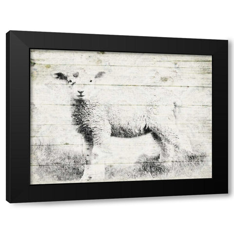 Vintage Lamb Black Modern Wood Framed Art Print by Grey, Jace