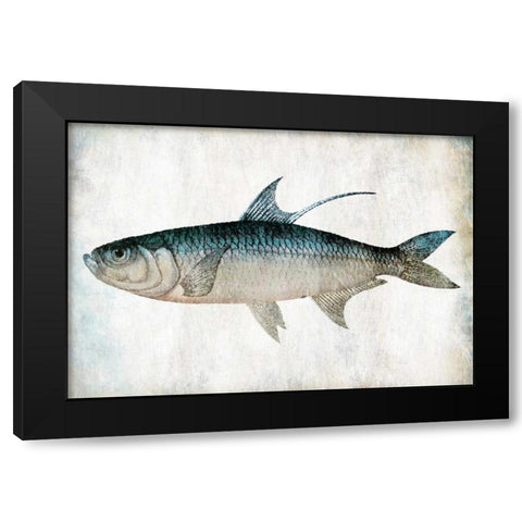 Blue Fish Black Modern Wood Framed Art Print by Grey, Jace