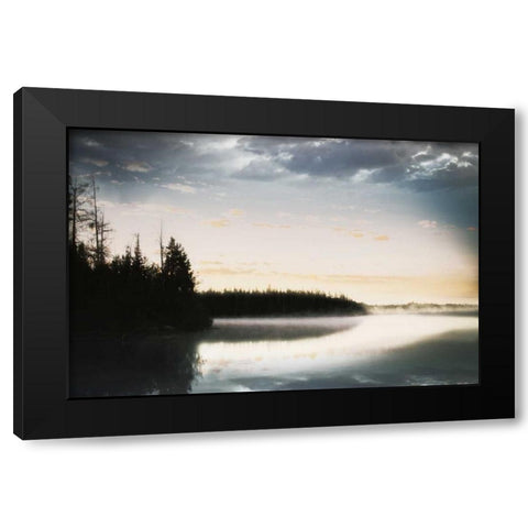 Foggy Forest Black Modern Wood Framed Art Print with Double Matting by Grey, Jace