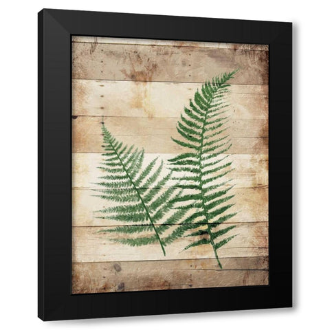 Ferns On Wood Black Modern Wood Framed Art Print by Grey, Jace