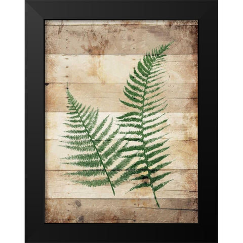 Ferns On Wood Black Modern Wood Framed Art Print by Grey, Jace