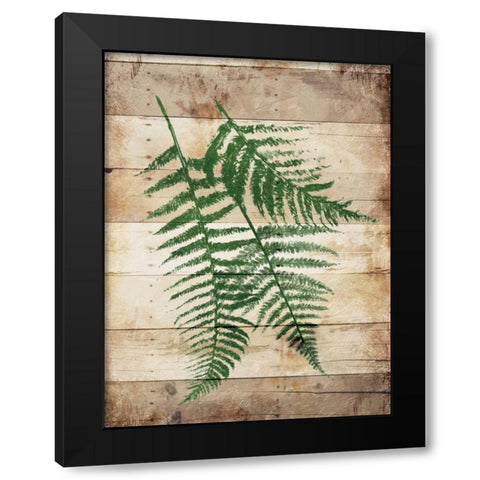 Ferns On Wood Mate Black Modern Wood Framed Art Print with Double Matting by Grey, Jace