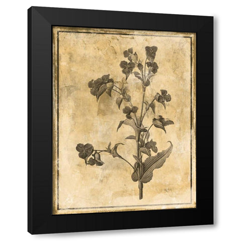 Stencil Floral Black Modern Wood Framed Art Print by Grey, Jace