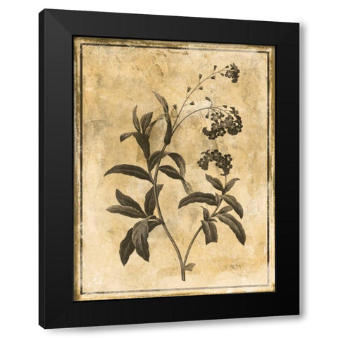 Stencil Floral Mate Black Modern Wood Framed Art Print by Grey, Jace