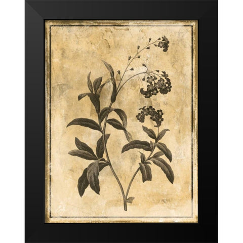 Stencil Floral Mate Black Modern Wood Framed Art Print by Grey, Jace