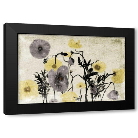 Stone Wash Poppies Black Modern Wood Framed Art Print with Double Matting by Grey, Jace