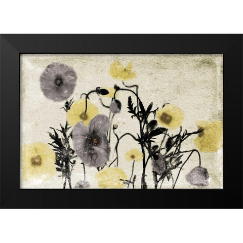 Stone Wash Poppies Black Modern Wood Framed Art Print by Grey, Jace