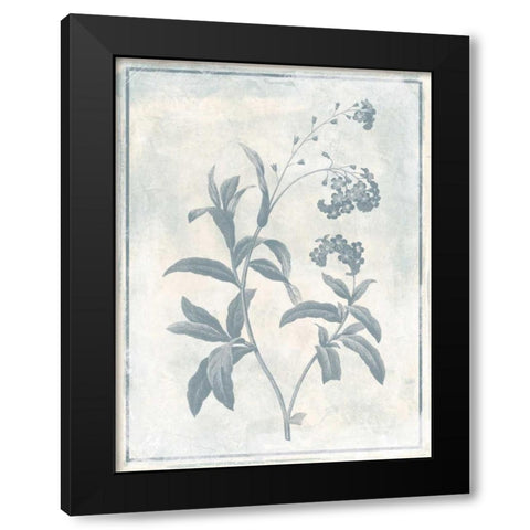 Sky Floral Two Cleaner Black Modern Wood Framed Art Print by Grey, Jace