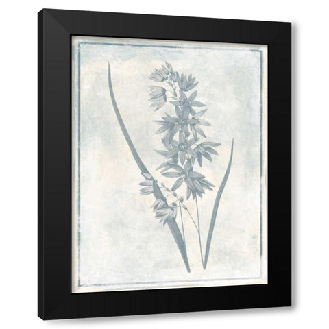 Sky Floral Three Cleaner Black Modern Wood Framed Art Print with Double Matting by Grey, Jace
