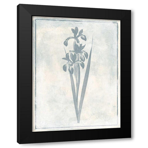 Sky Floral Four Cleaner Black Modern Wood Framed Art Print by Grey, Jace