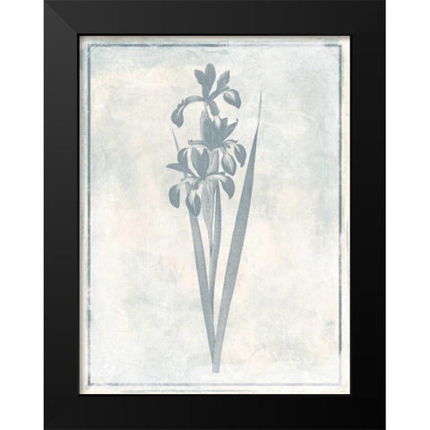 Sky Floral Four Cleaner Black Modern Wood Framed Art Print by Grey, Jace