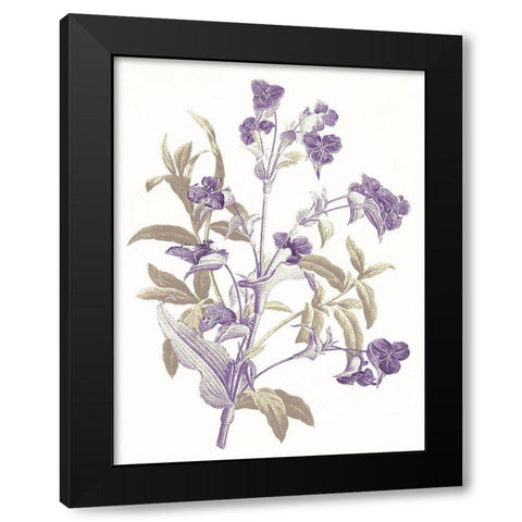 Lavender Flowers Black Modern Wood Framed Art Print by Grey, Jace
