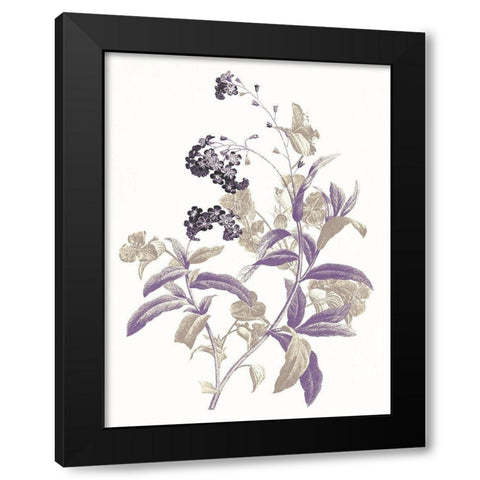 Lavender Flowers Two Black Modern Wood Framed Art Print by Grey, Jace