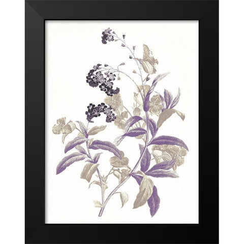 Lavender Flowers Two Black Modern Wood Framed Art Print by Grey, Jace