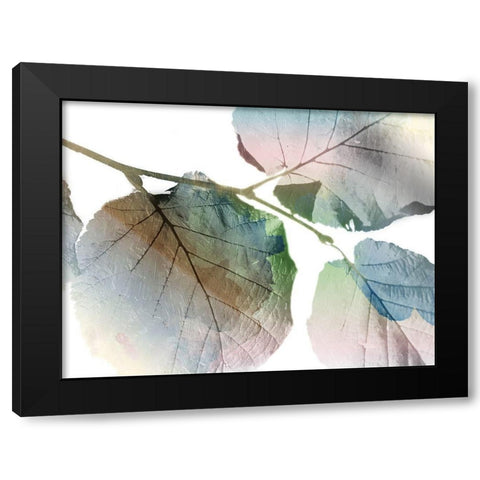 Land Ombre Black Modern Wood Framed Art Print by Grey, Jace