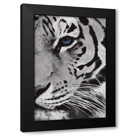 Tiger Purple Eye Mate Black Modern Wood Framed Art Print by Grey, Jace