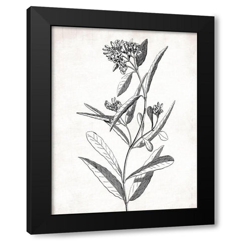 Cream Black Florals Black Modern Wood Framed Art Print with Double Matting by Grey, Jace