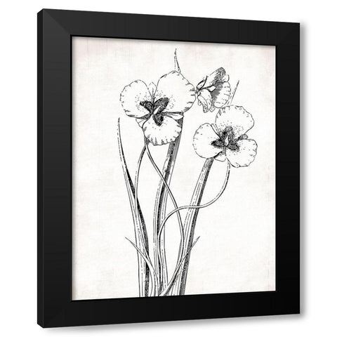 Cream Black Florals Mate Black Modern Wood Framed Art Print with Double Matting by Grey, Jace