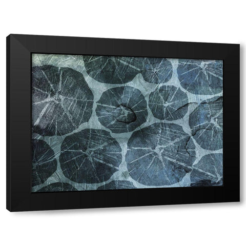 Muted Shells Black Modern Wood Framed Art Print with Double Matting by Grey, Jace